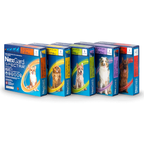 nexgard spectra range