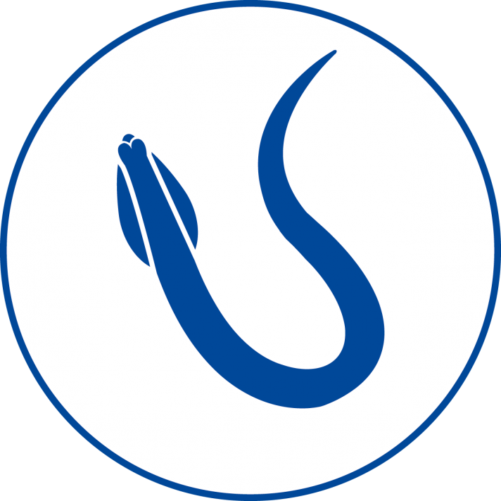 gusanos intestinales