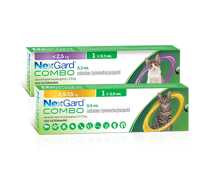 NexGard Combo for Cats